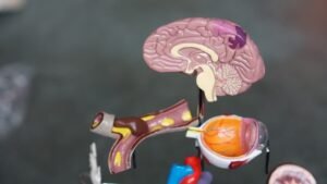 Understanding Dementia and Dying | Progressive Disease