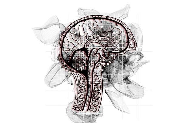 Understanding Frontotemporal Dementia: A Guide to Stages and Life Expectancy. Dementia care at home